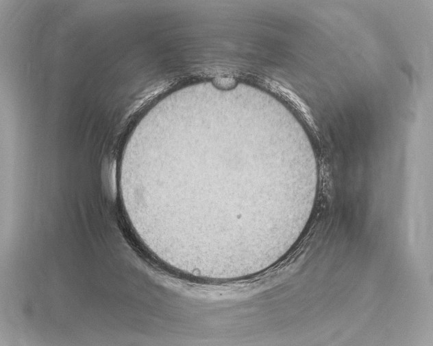 X0000115340020200912141249