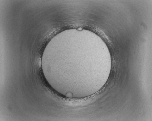 X0000115340021200912141249