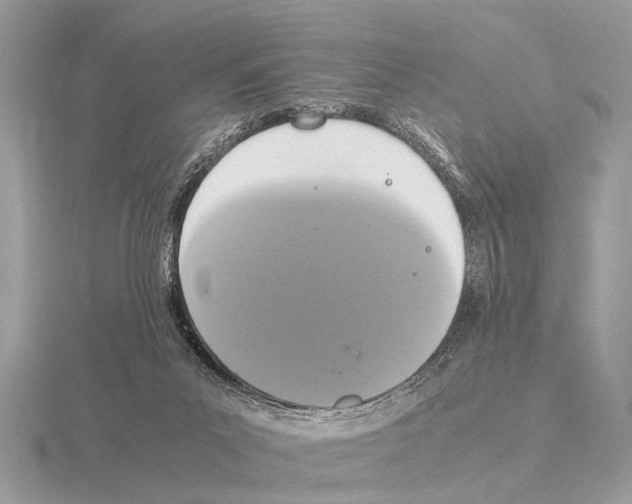 X0000115340023200912141249