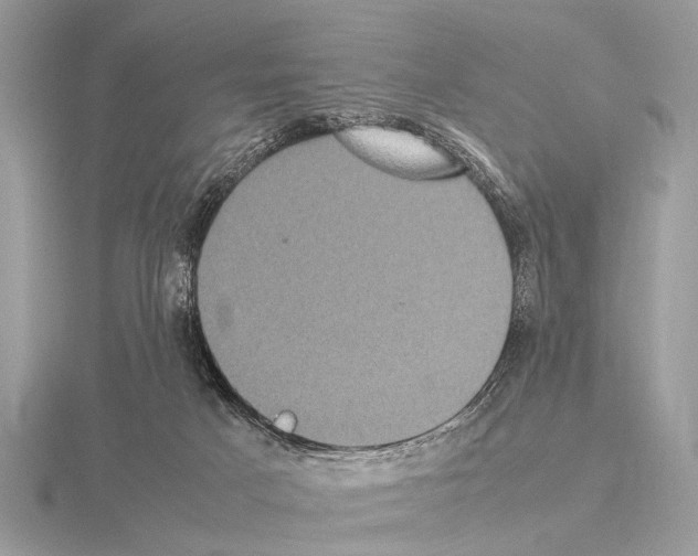 X0000115340025200912141249