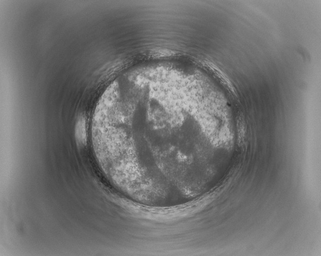 X0000115340026200912141249