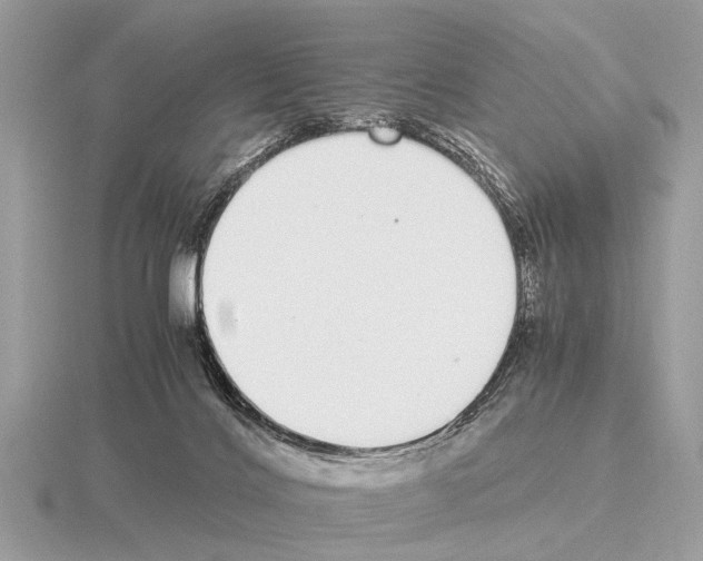 X0000115340028200912141249