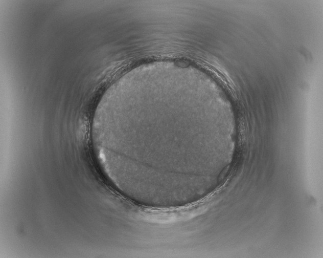 X0000115340029200912141249