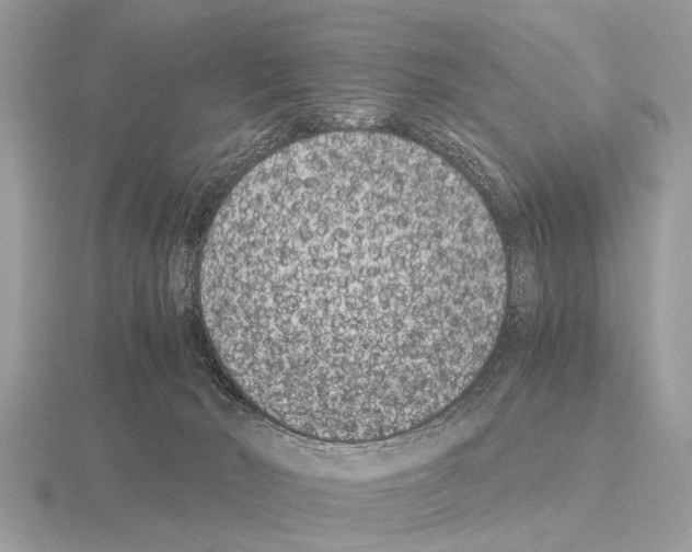 X0000115340030200912141249