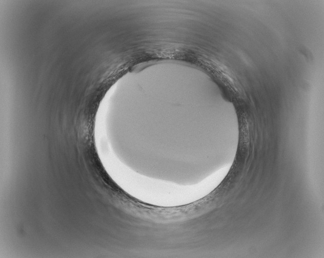 X0000115340031200912141249