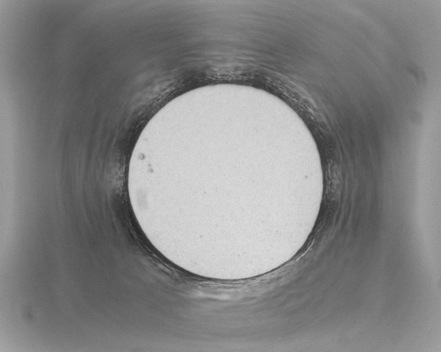 X0000115340033200912141249