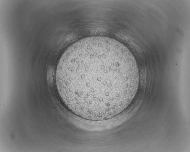 X0000115340038200912141249