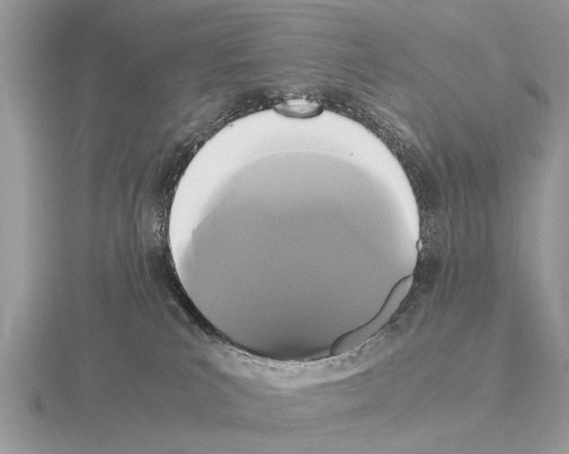 X0000115340039200912141249