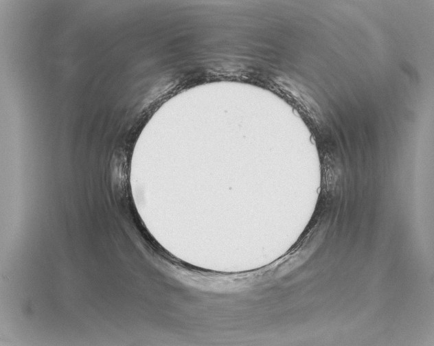 X0000115340040200912141249