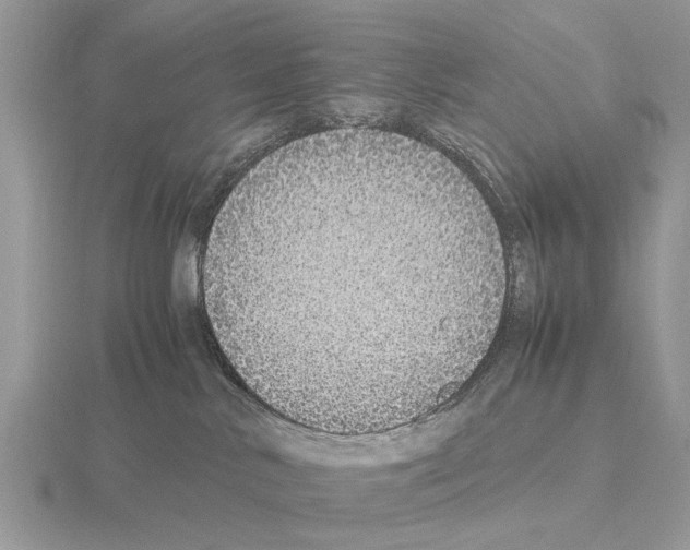 X0000115340042200912141249