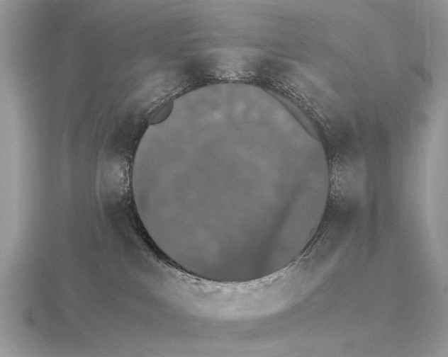 X0000115340043200912141249