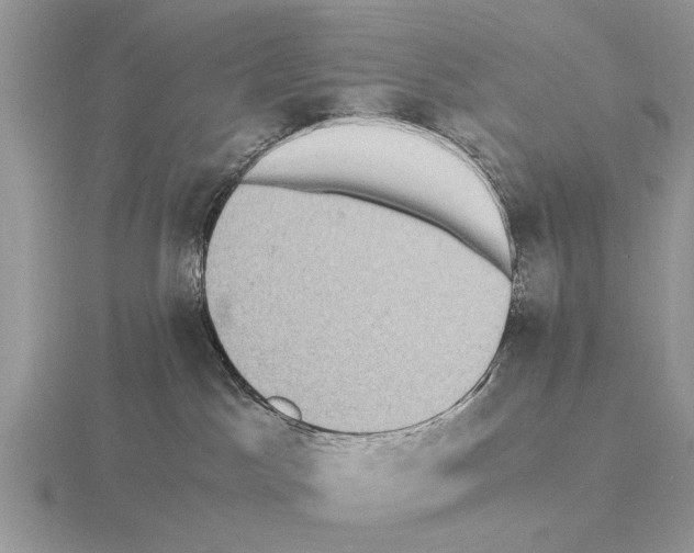 X0000115340045200912141249