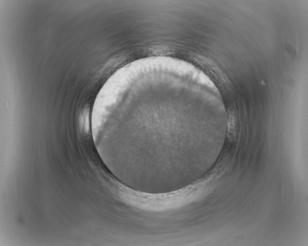 X0000115340046200912141249