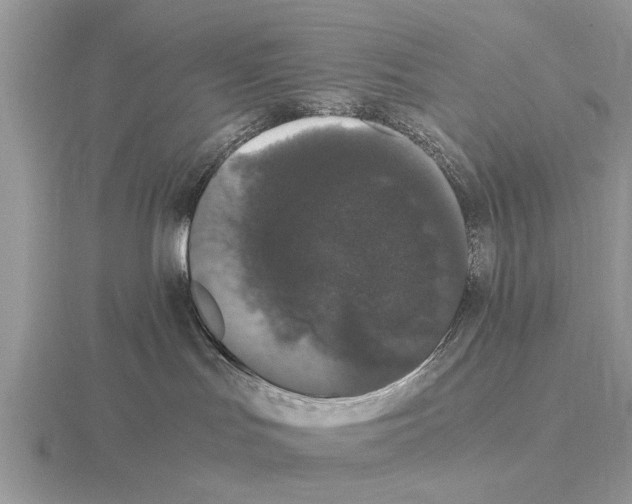 X0000115340047200912141248