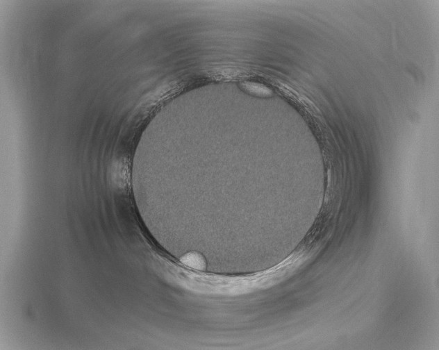 X0000115340048200912141248