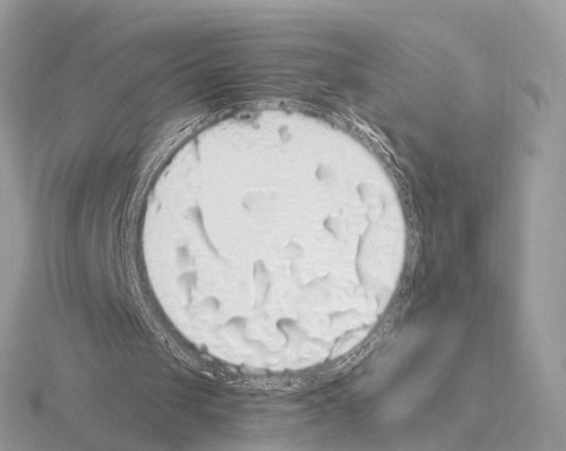 X0000115340049200912141248