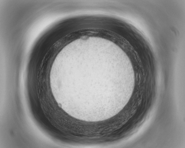 X0000115340050200912141248