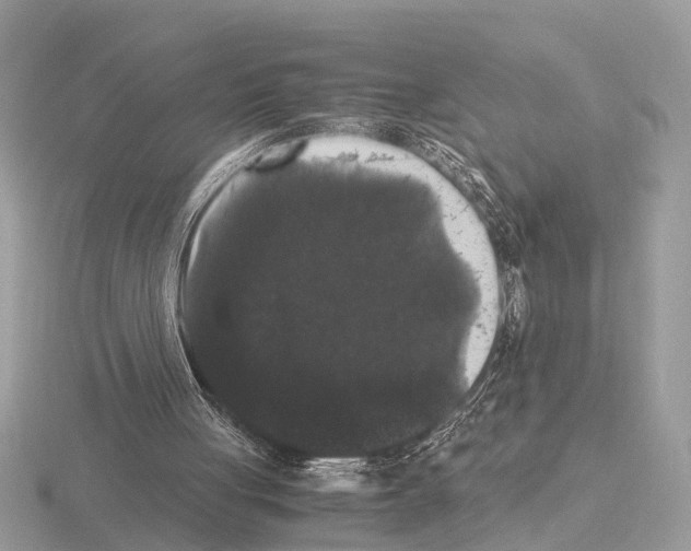 X0000115340051200912141248