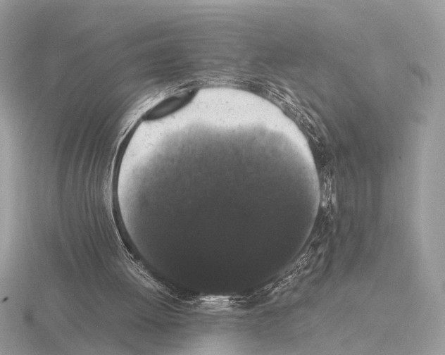 X0000115340052200912141248