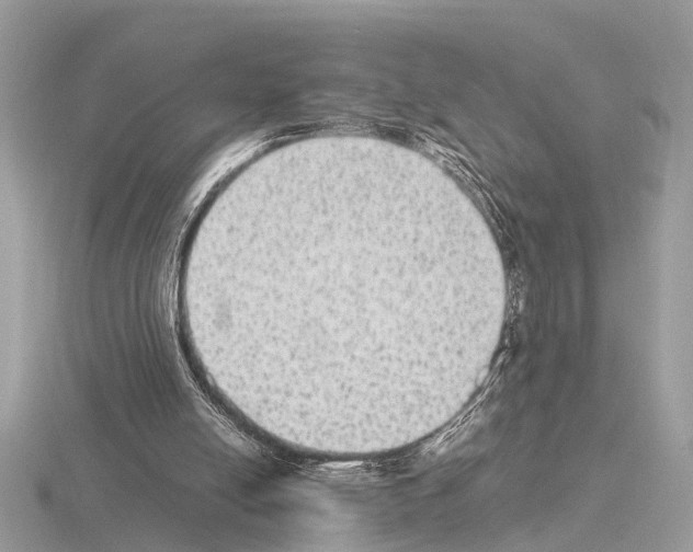 X0000115340054200912141248