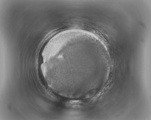 X0000115340055200912141248