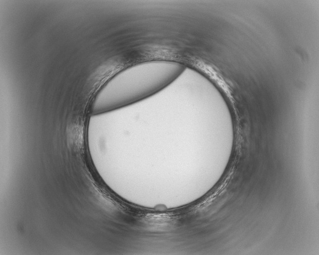 X0000115340057200912141248