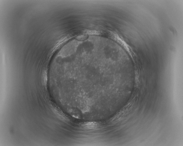 X0000115340059200912141248