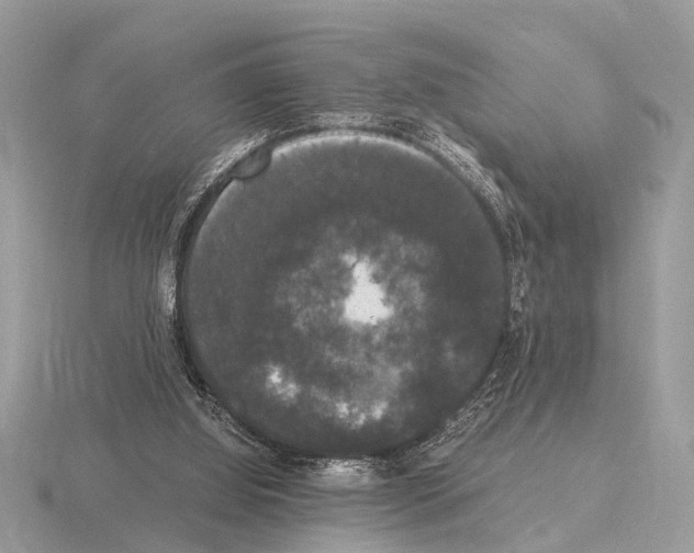 X0000115340060200912141248