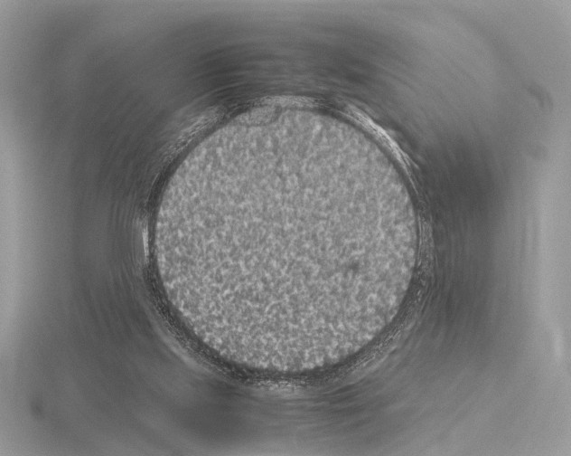 X0000115340061200912141248