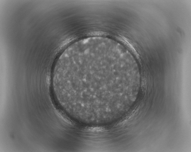 X0000115340063200912141248