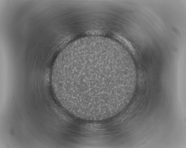 X0000115340065200912141248