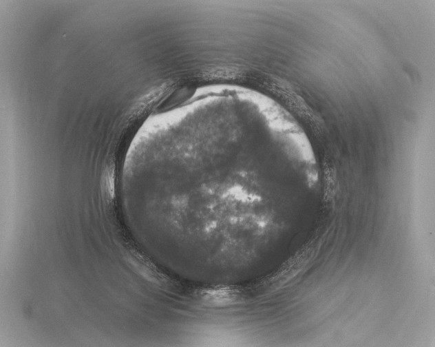 X0000115340068200912141248