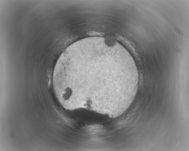 X0000115340069200912141248