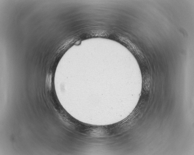 X0000115340070200912141248