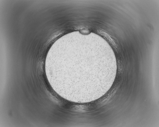 X0000115340071200912141248