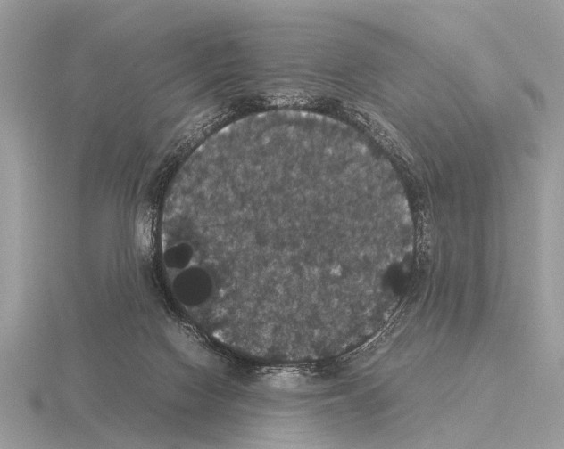 X0000115340074200912141248