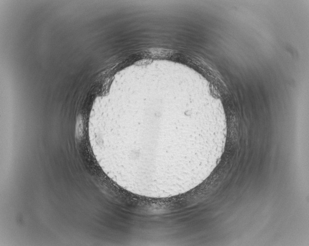 X0000115340075200912141248