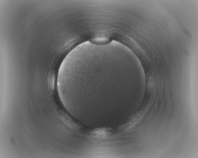 X0000115340076200912141248