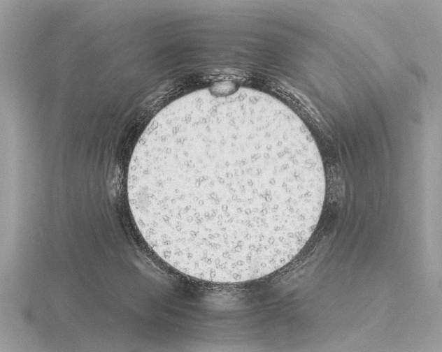 X0000115340077200912141248