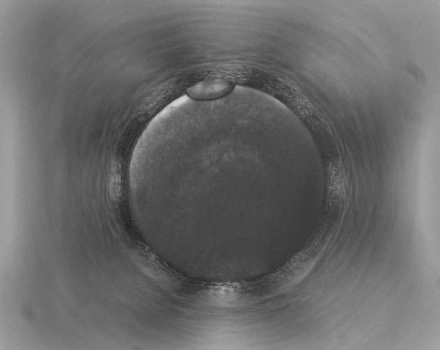 X0000115340080200912141248