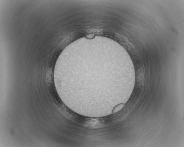 X0000115340083200912141248