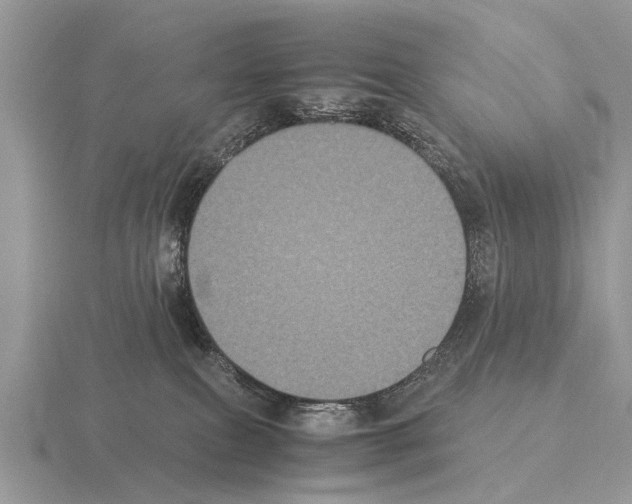 X0000115340087200912141248