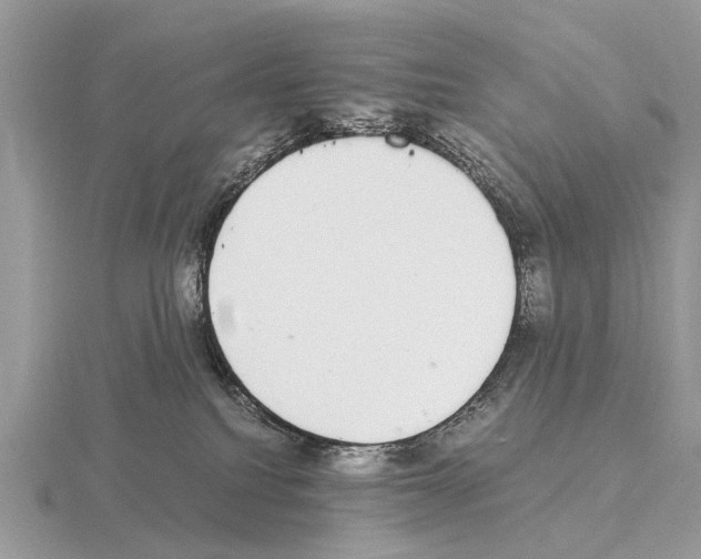 X0000115340088200912141248