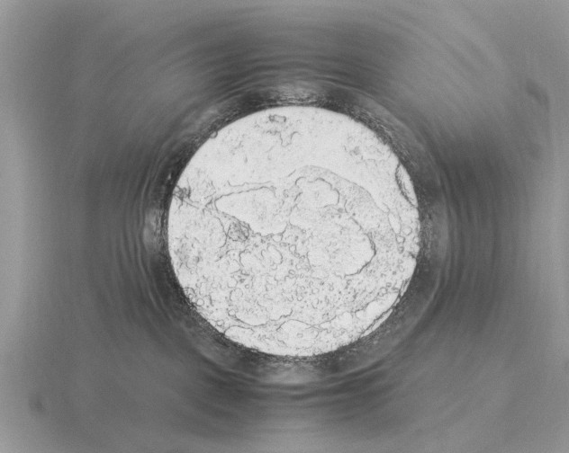 X0000115340093200912141248