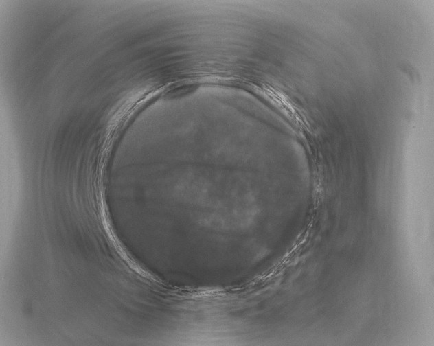 X0000115340097200912141248