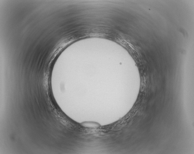 X0000115340098200912141248