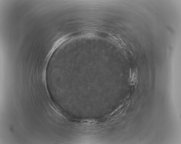 X0000115340099200912141248