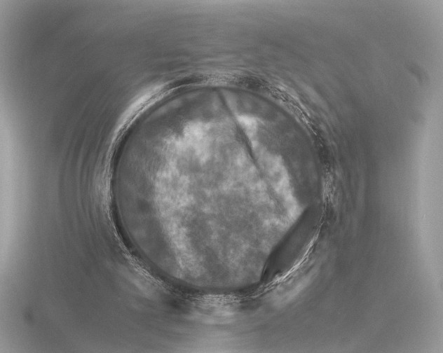 X0000115340101200912141248