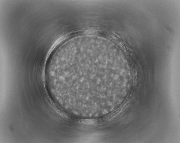 X0000115340102200912141248