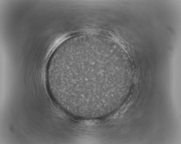 X0000115340103200912141248